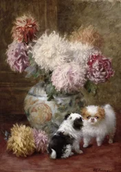 Aus dem Land der Chrysantheme